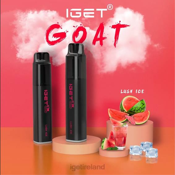 IGET bar store GOAT - 5000 PUFFS P80R447 Lush Ice