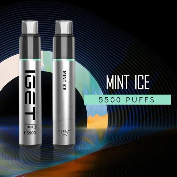 IGET bar HOT - 5500 PUFFS P80R436 Mint Ice