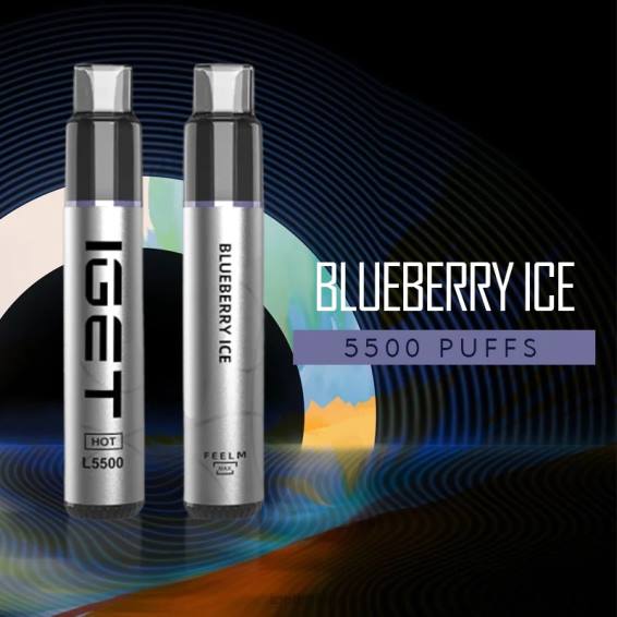 IGET vape Ireland HOT - 5500 PUFFS P80R522 Blueberry Ice